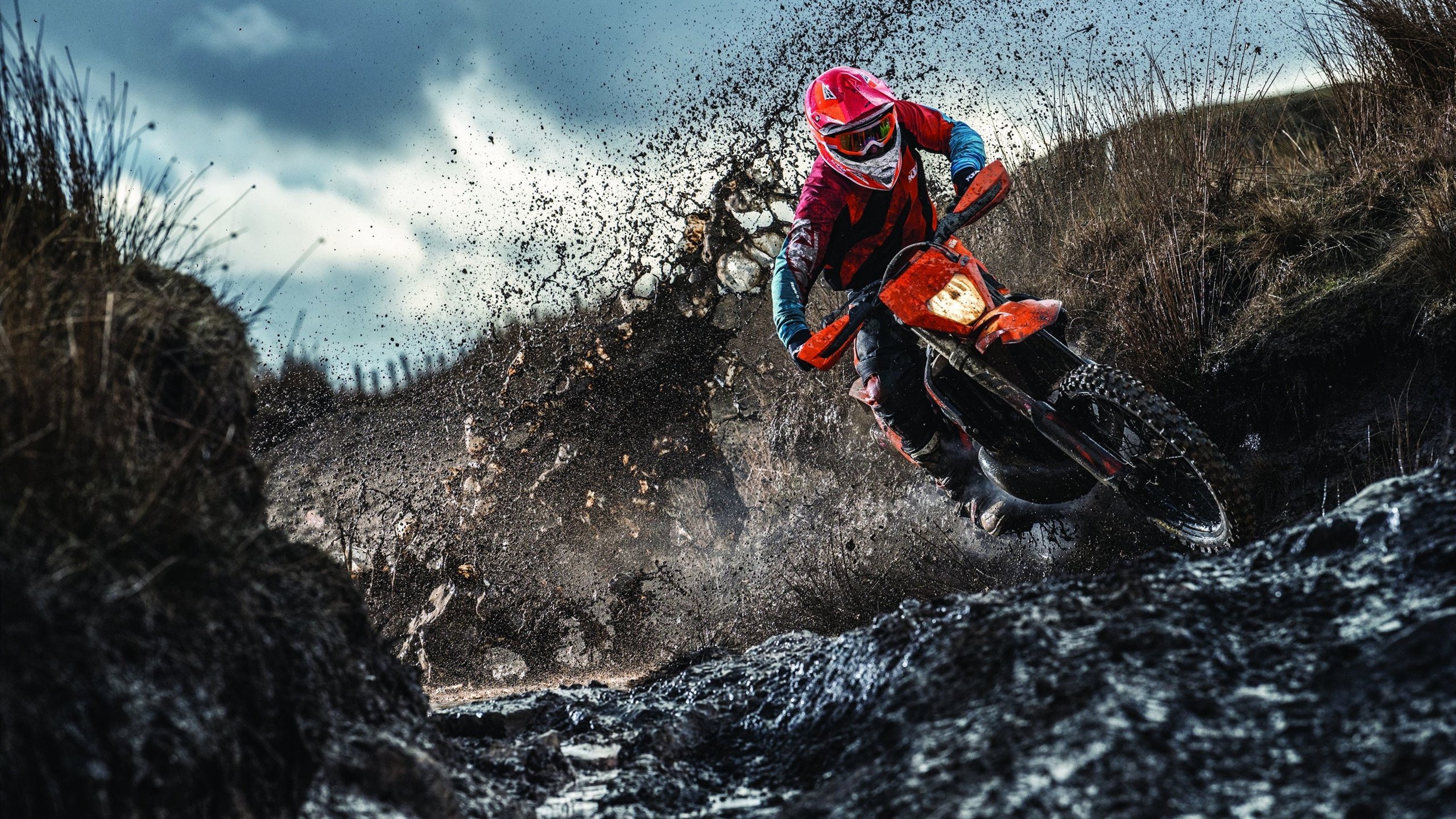 米兰体育登陆-终于找到！施罗德无法成为NBA球星的原因了！威少也无能为力，施罗德为什么被禁赛